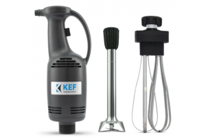 KEF BL25-C Profesyonel El Blender