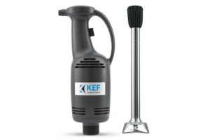 KEF BL25 L35 Profesyonel El Blender