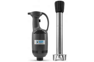 KEF BL40 L50 Profesyonel El Blender