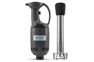 KEF BL40 Profesyonel El Blender
